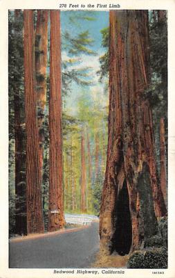 Redwood HIghway CA