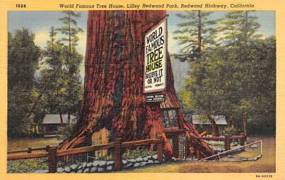Redwood Highway CA