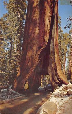 Yosemite National Park CA