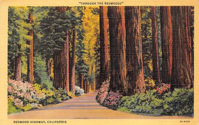 Redwood Highway CA