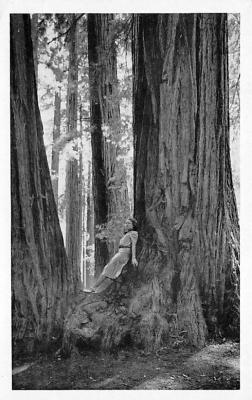 Redwood Empire CA