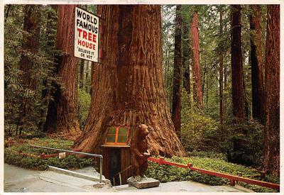 Redwood Highway  CA