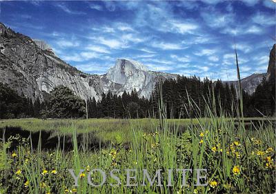 Yosemite National Park CA