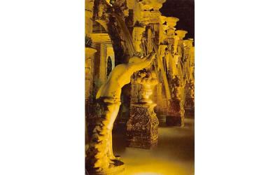 The Fountains at Night, The Kapok Tree Inn Clearwater, Florida Postcard