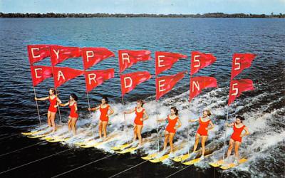 Beauty on Parade Cypress Gardens, Florida Postcard