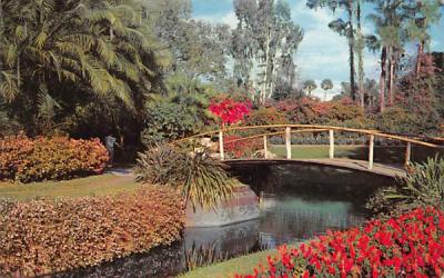 Natural fairyland of sunshine and flowers Cypress Gardens, Florida Postcard