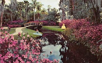 Magnificent Floral Array Cypress Gardens, Florida Postcard