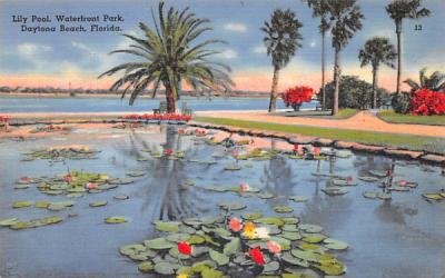 Lily Pond, Waterfront Park Daytona Beach, Florida Postcard