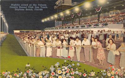 Volusia County Kennel Club, Dog Track Daytona Beach, Florida Postcard