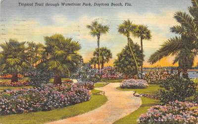 Tropical Trail through Waterfront Park Daytona Beach, Florida Postcard