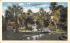 Hoene Park (Ridgewood Ave.) Daytona Beach, Florida Postcard