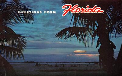 Greetings from Florida, USA Postcard