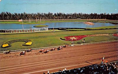 A thrilling finish at colorful Hialeah Race Course Florida Postcard