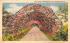 Rose Arbor, Confederate Park Jacksonville, Florida Postcard