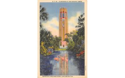 Flamingos at the Singing Tower Lake Wales, Florida Postcard