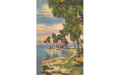 A Palm Fringed Shoreline in Florida, USA Postcard