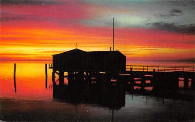 Misc, Florida Postcard