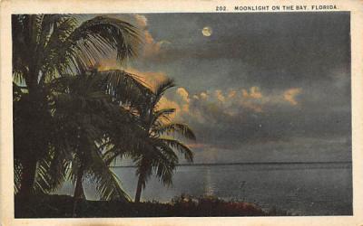 Moonlight On The Bay, Florida, USA Postcard