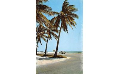 Florida, USA Postcard