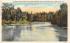 Silver Springs and Silver River Misc, Florida Postcard