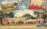 The Town House Motor Hotel Pensacola, Florida Postcard