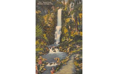 Scenic Falls Rainbow Springs, Florida Postcard