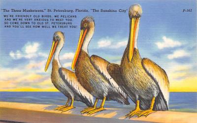 The Three Musketeers St Petersburg, Florida Postcard