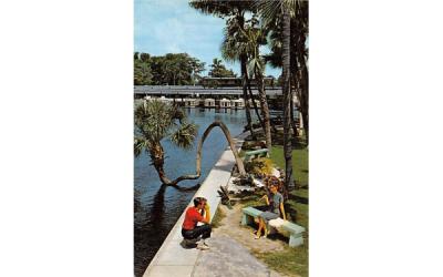 Safe, Electrically-Propelled Glass-Bottom Boats Silver Springs, Florida Postcard