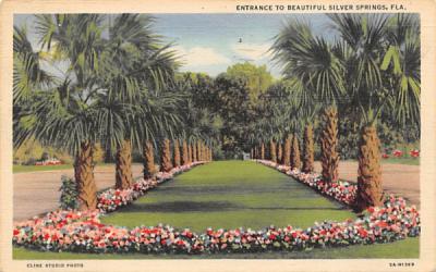 Entrance to Beautiful Silver Springs, FL, Usa Florida Postcard