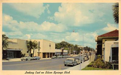 Looking East on Silver Springs Blvd. Florida Postcard