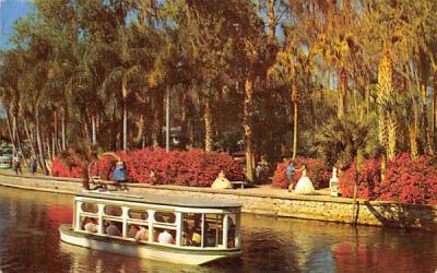 Safe Electrically Propelled Glass Bottom Boats Silver Springs, Florida Postcard