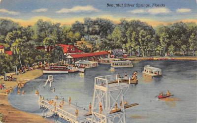 Beautiful Silver Springs, FL, USA Florida Postcard