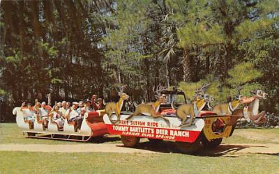 Sleigh-riding through the landscaped gardens Silver Springs, Florida Postcard