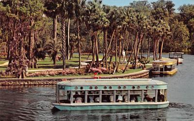 New-Glass Bottom Boats Silver Springs, Florida Postcard