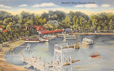 Beautiful Silver Springs, FL, USA Florida Postcard