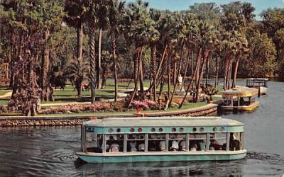 New-Glass Bottom Boats Silver Springs, Florida Postcard