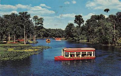 Florida's Silver Springs, USA Postcard