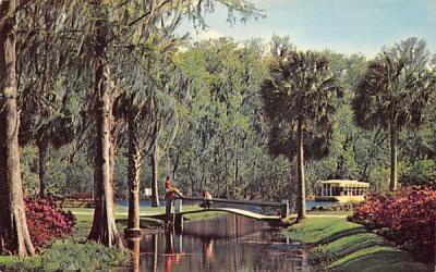 Beautiful azalea borders the banks of a small stream Silver Springs, Florida Postcard