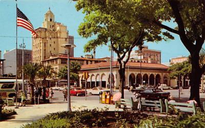 Downtown Business Section, from Williams Park St Petersburg, Florida Postcard