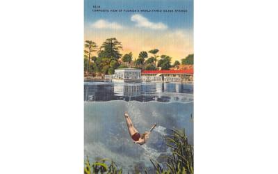 Florida's World-Famed Silver Springs, USA Postcard