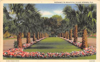 Entrance to Beautiful Silver Springs, FL, USA Florida Postcard