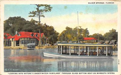 Silver Springs, FL, USA Florida Postcard