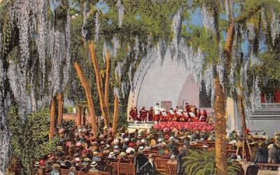 Daily Band Concert in Williams Park St Petersburg, Florida Postcard