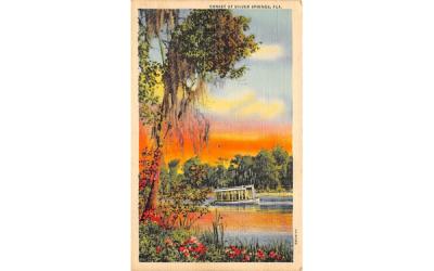 Sunset at Silver Springs, FL, USA Florida Postcard