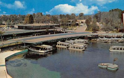 Florida's Silver Springs, USA Postcard