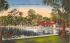 Silver Springs, FL, USA Florida Postcard