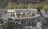 Feeding the Black Bass at Silver Springs, FL, USA Florida Postcard