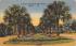 Entrance to Beautiful Silver Springs, FL, USA Florida Postcard