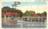 Silver Springs, FL, USA Florida Postcard