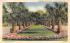 Entrance to Beautiful Silver Springs, FL, USA Florida Postcard